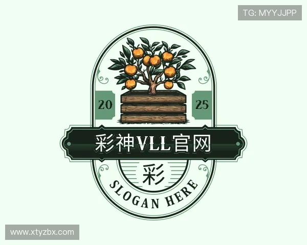 发现彩神vll